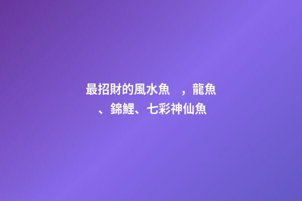 最招財的風水魚，龍魚、錦鯉、七彩神仙魚